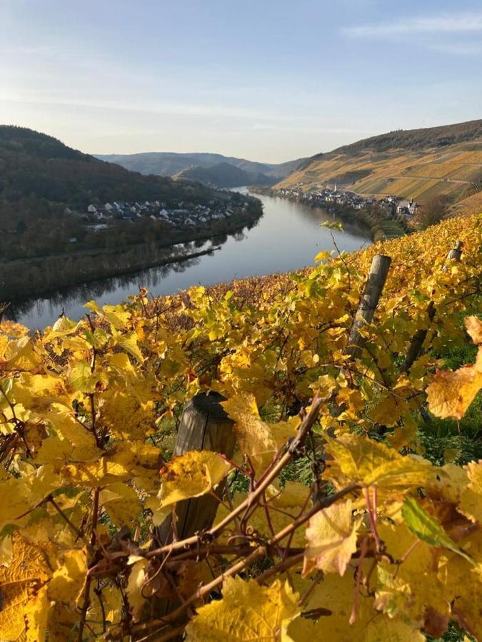 Apartment Hallenbach Zell an der Mosel Exteriér fotografie