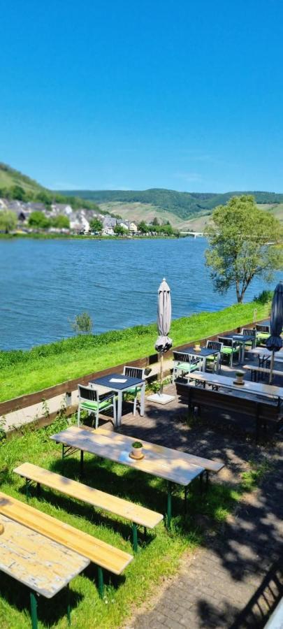 Apartment Hallenbach Zell an der Mosel Exteriér fotografie